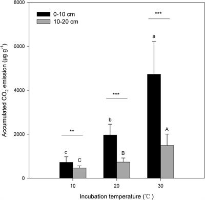 Warming but Not Nitrogen Addition Alters the Linear Relationship Between Microbial Respiration and Biomass